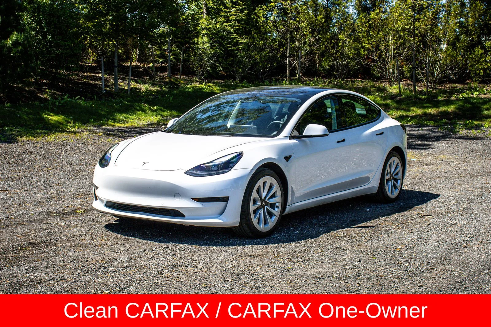 2022 Tesla Model 3 Standard Range Plus's photo