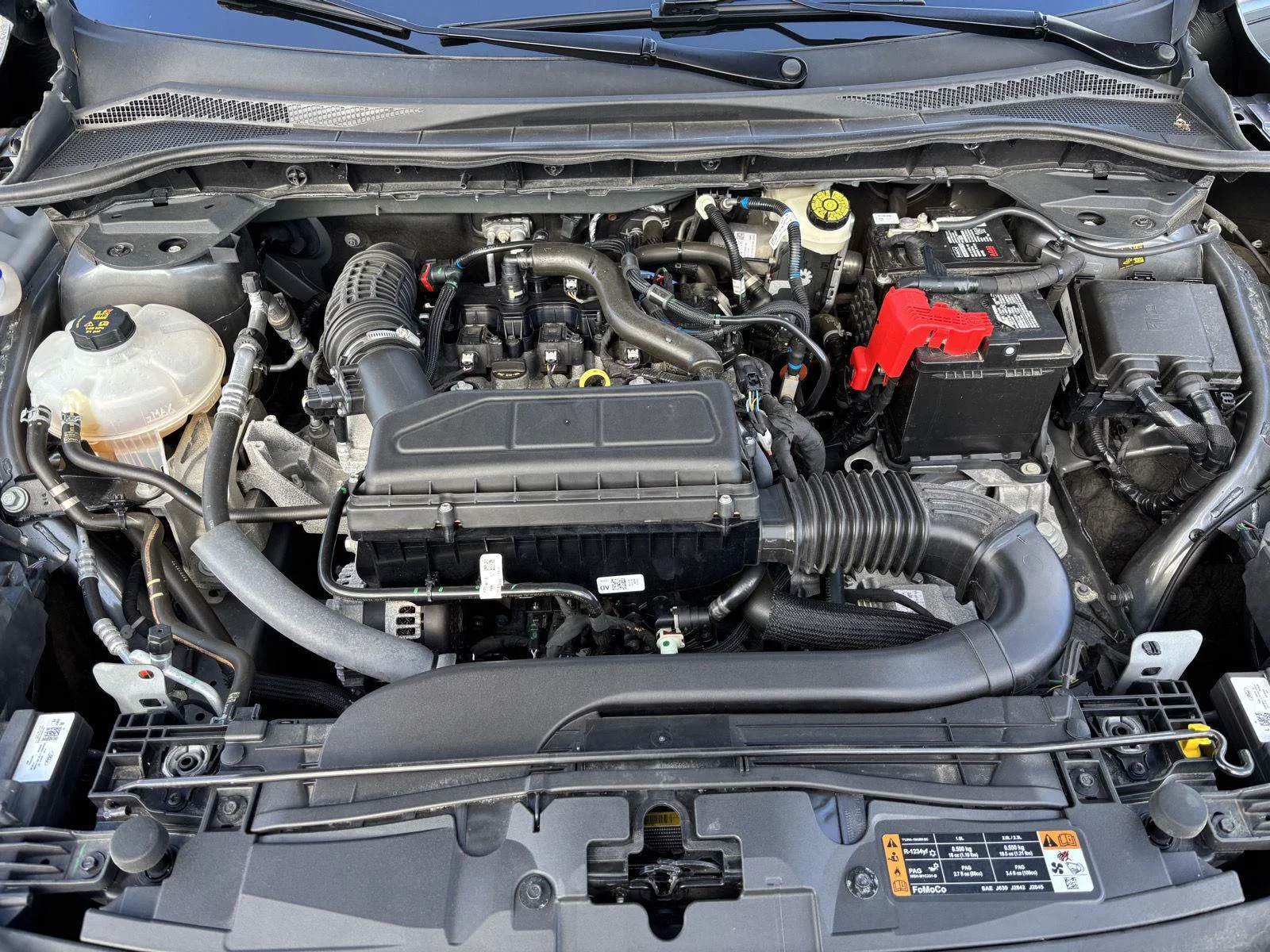 Used 2023 Gy Ford Active image 11