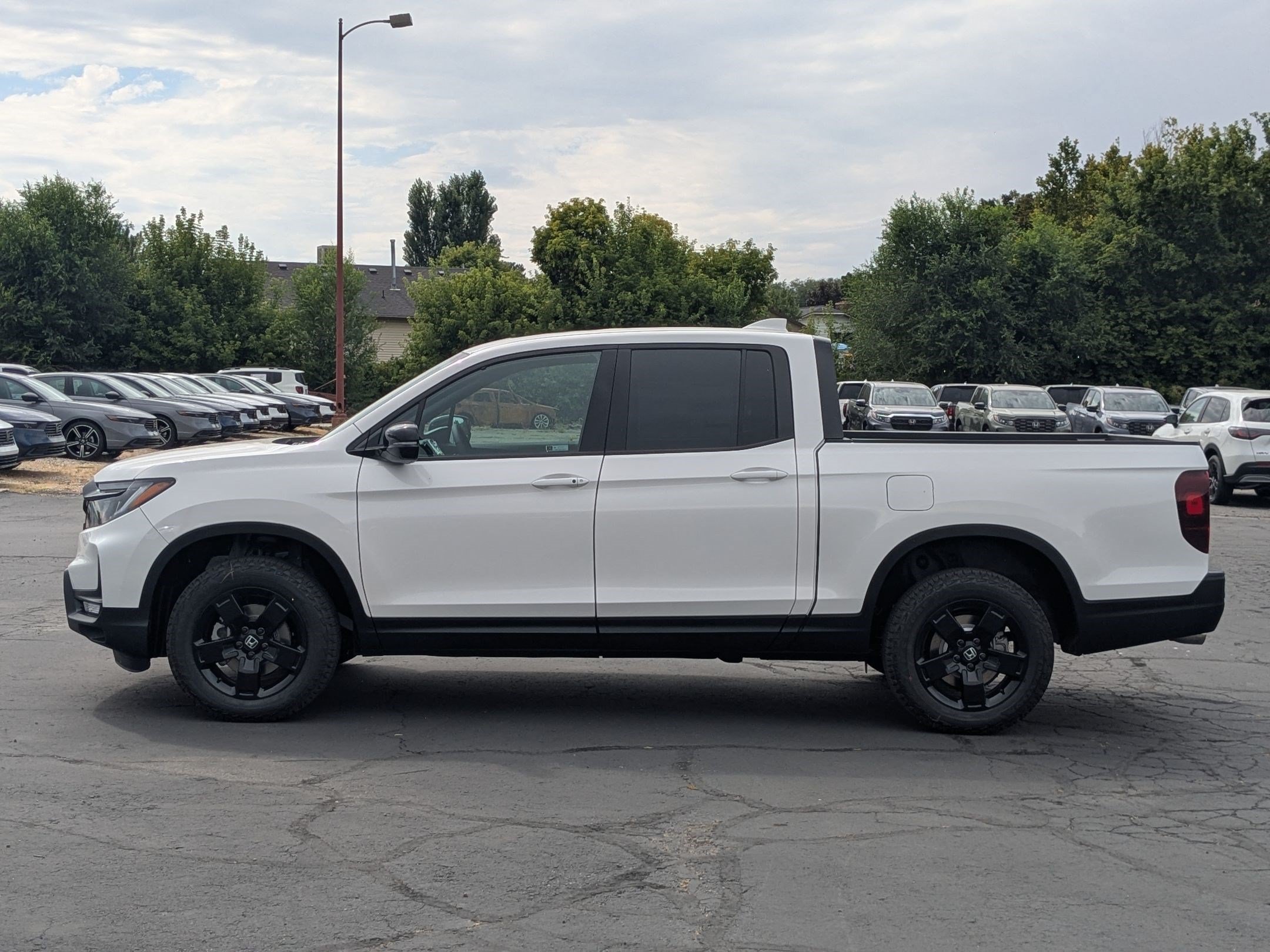 New 2026 Platinum White Pearl Honda Black Edition image 7