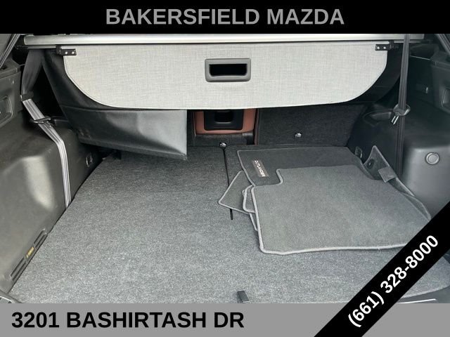 2025 Mitsubishi Outlander SEL - Photo 29