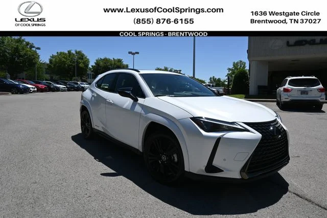 2021 Lexus UX 300h 250h AWD's photo