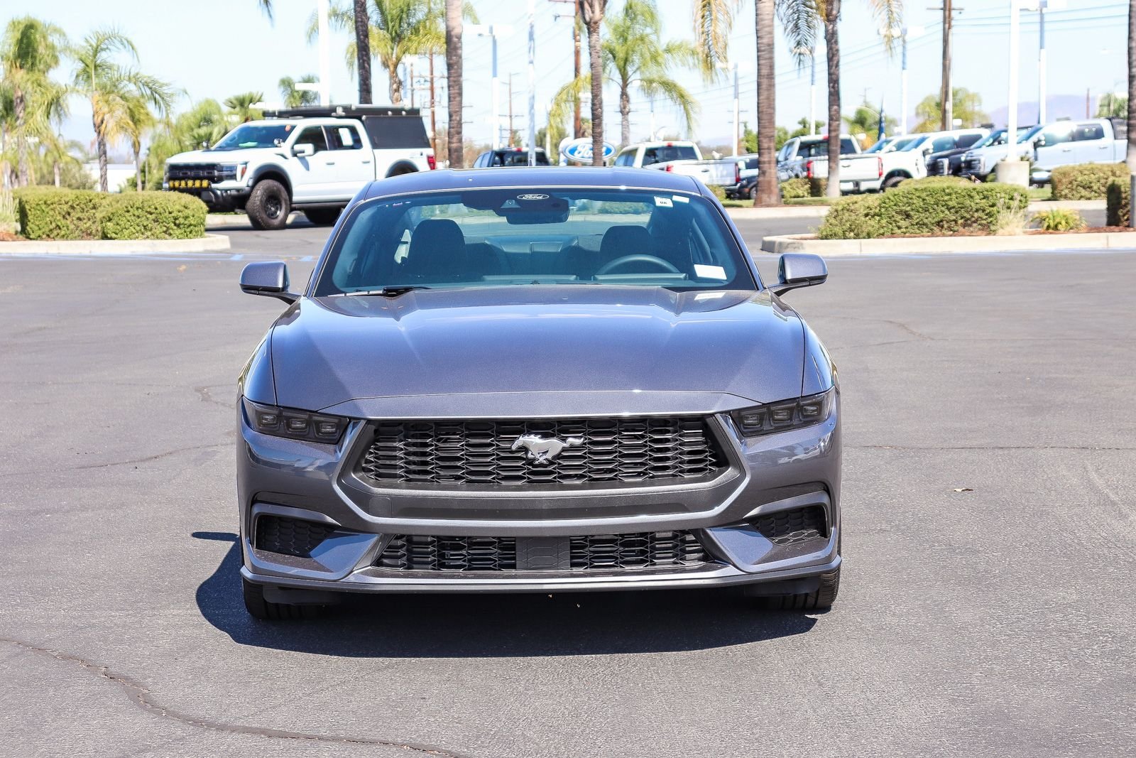 New 2026 Carbonized Gray Metallic Ford EcoBoost® Fastback image 2