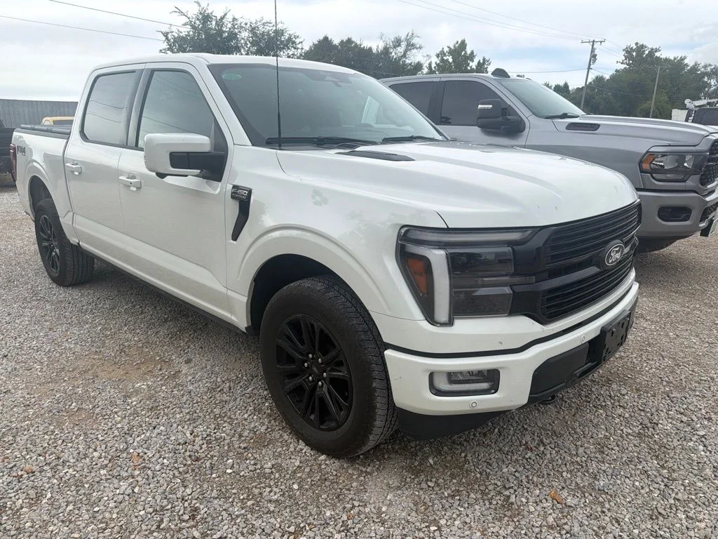 Used 2025 White Ford Platinum image 4