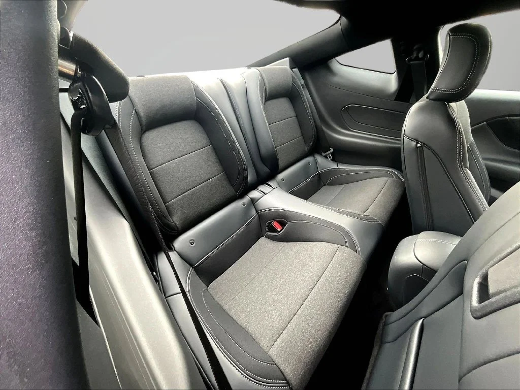 2026 Ford Mustang EcoBoost Fastback - Photo 10