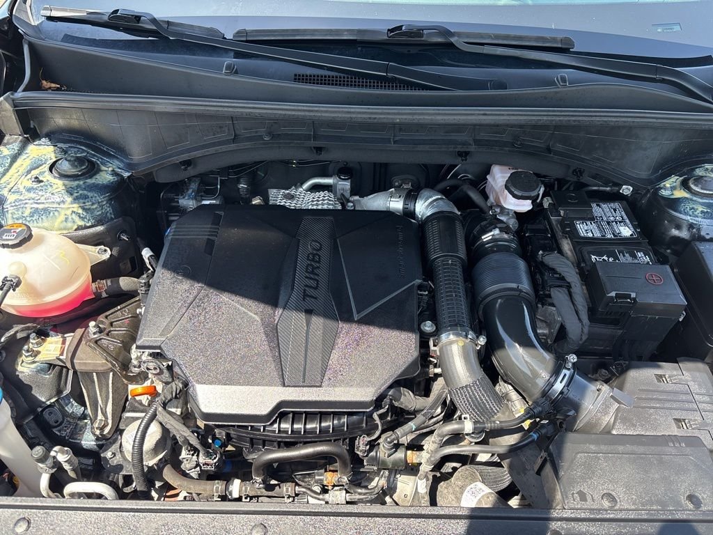 Used 2023 Black Kia SX image 14