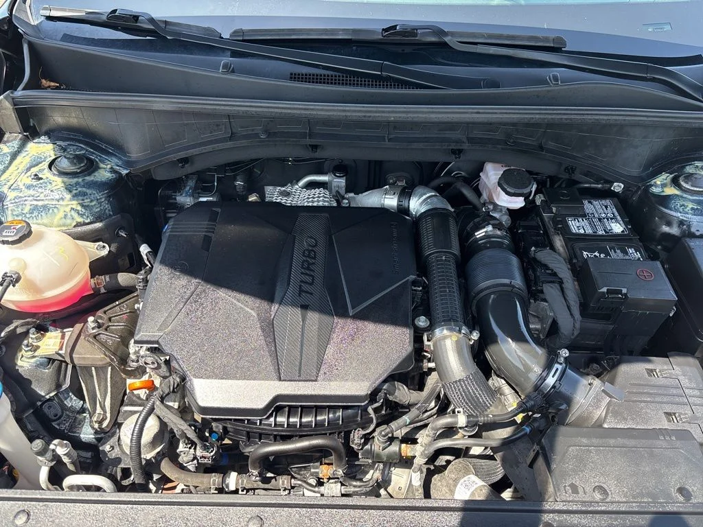 Used 2023 Black Kia SX image 14