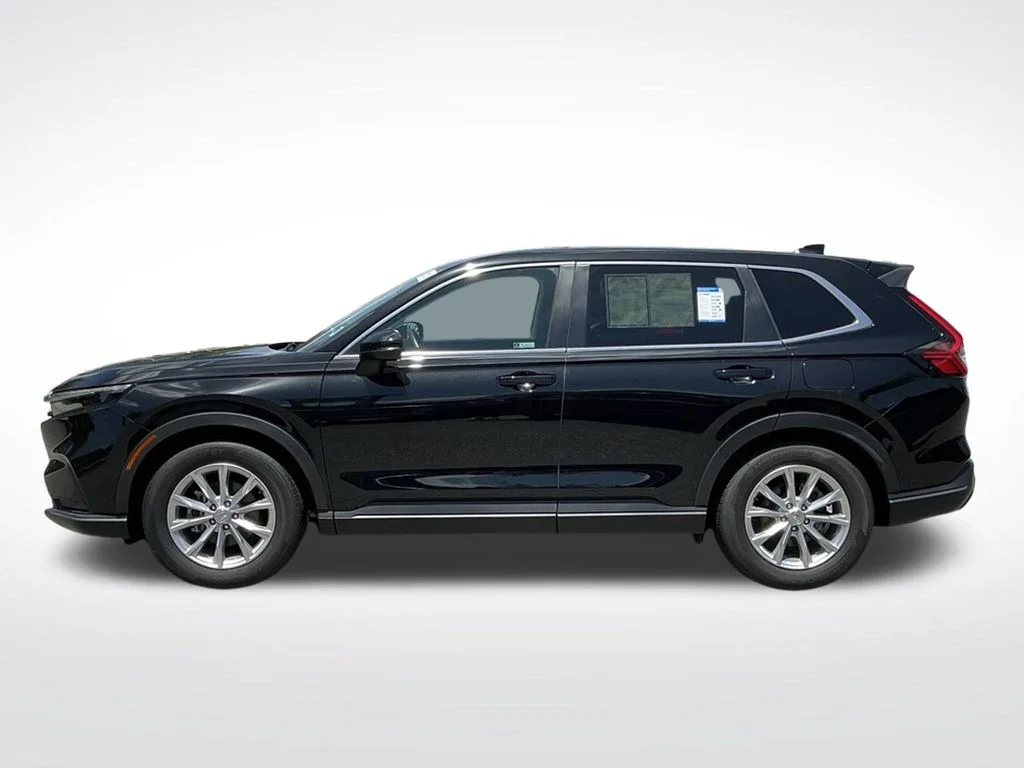 Used 2024  Honda EX-L image 7