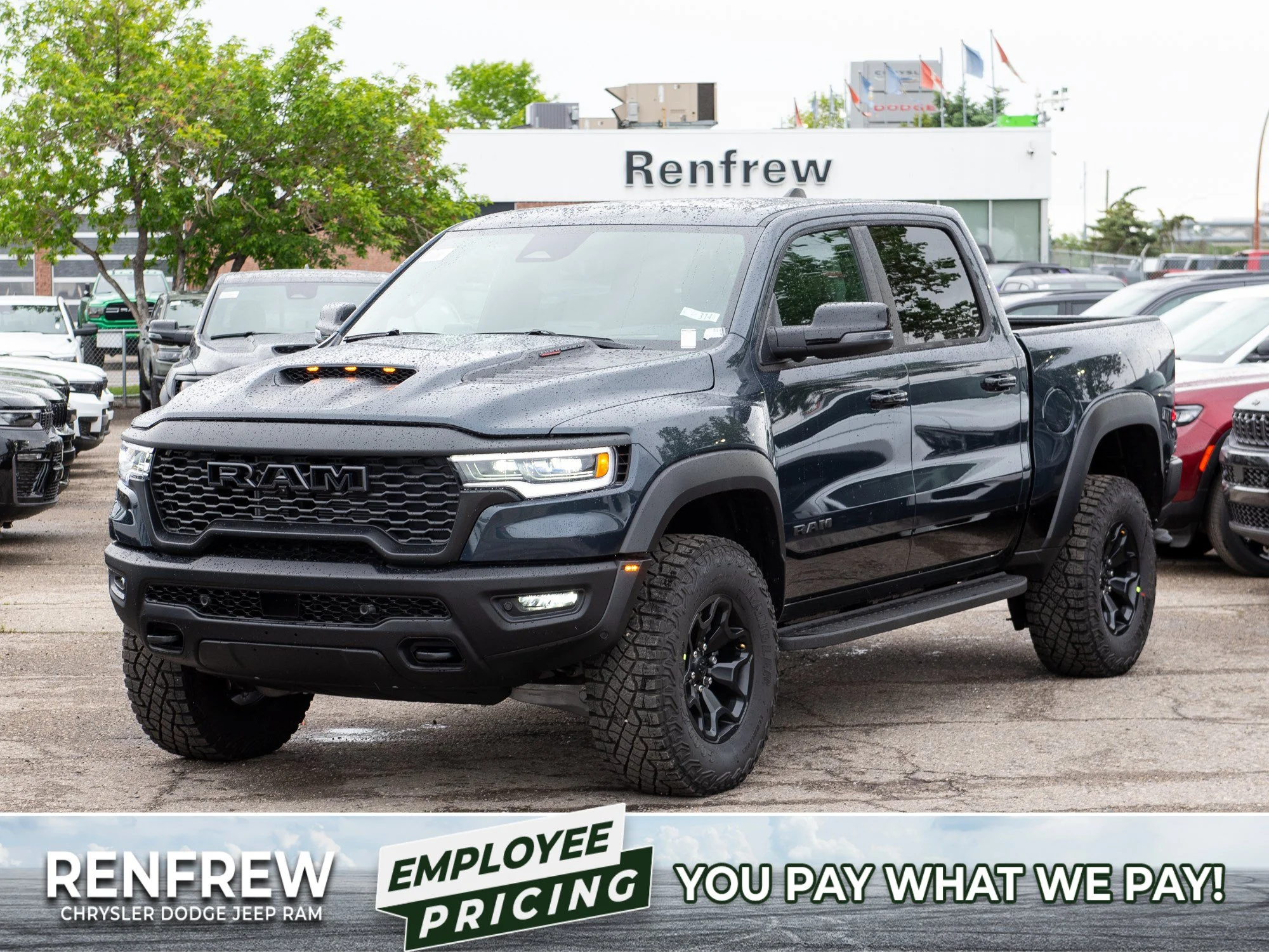 New 2026 Blue RAM RHO* image 1
