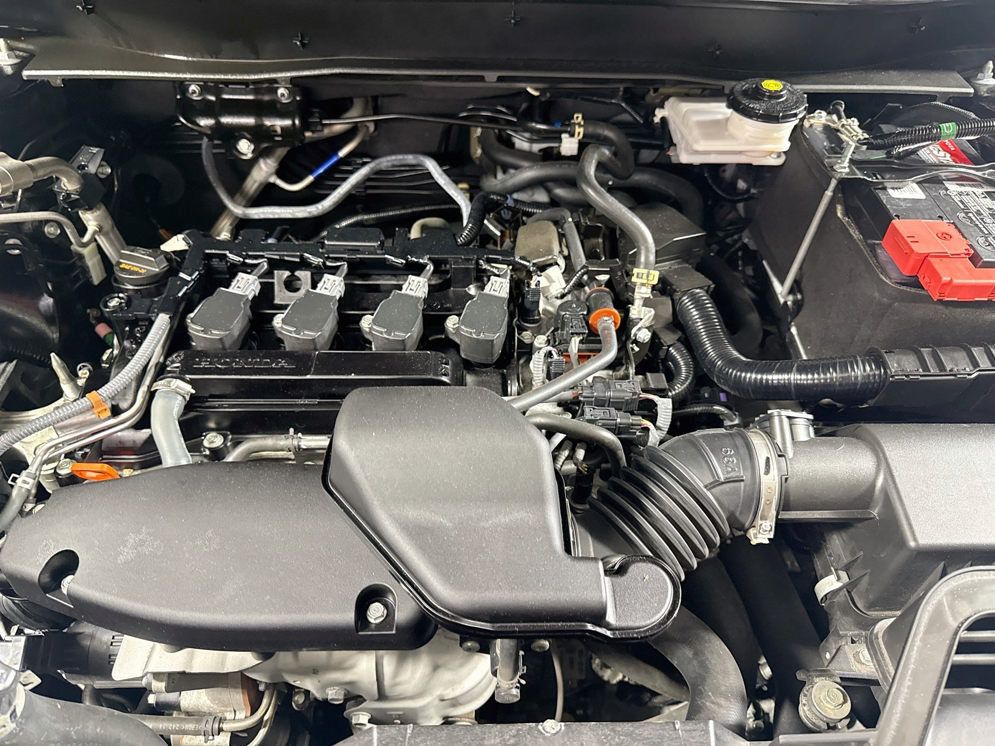 Used 2025 Blk Honda LX image 27
