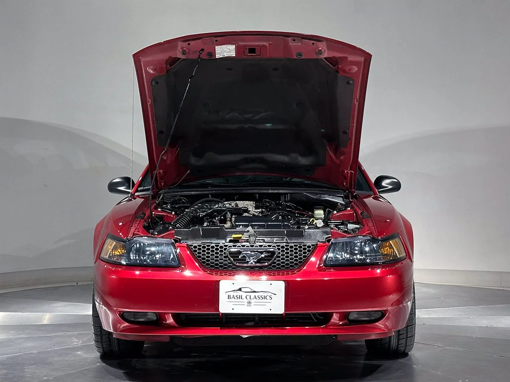 Used 2004  Ford GT image 29