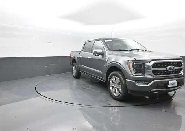 Used 2023 Gray Ford Platinum image 2