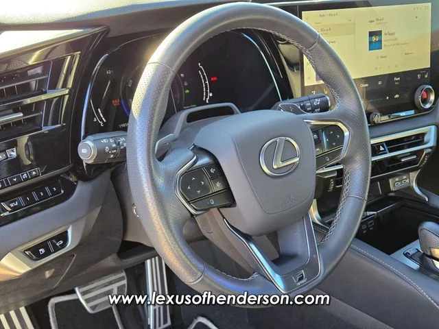 2024 Lexus RX Hybrid 500h - Photo 24