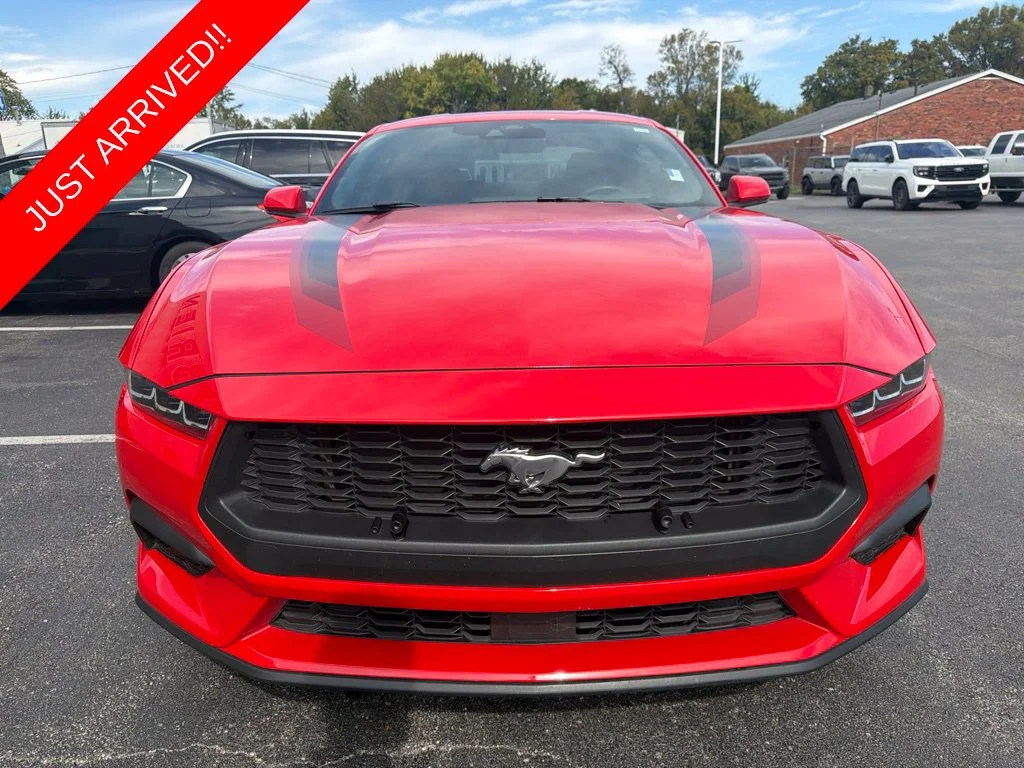 Used 2024 Race Red Ford EcoBoost image 7