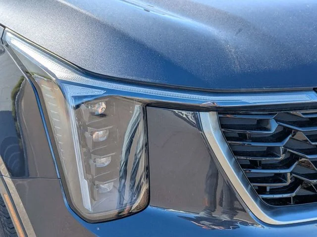 New 2025 Panthera Metal Kia S image 9