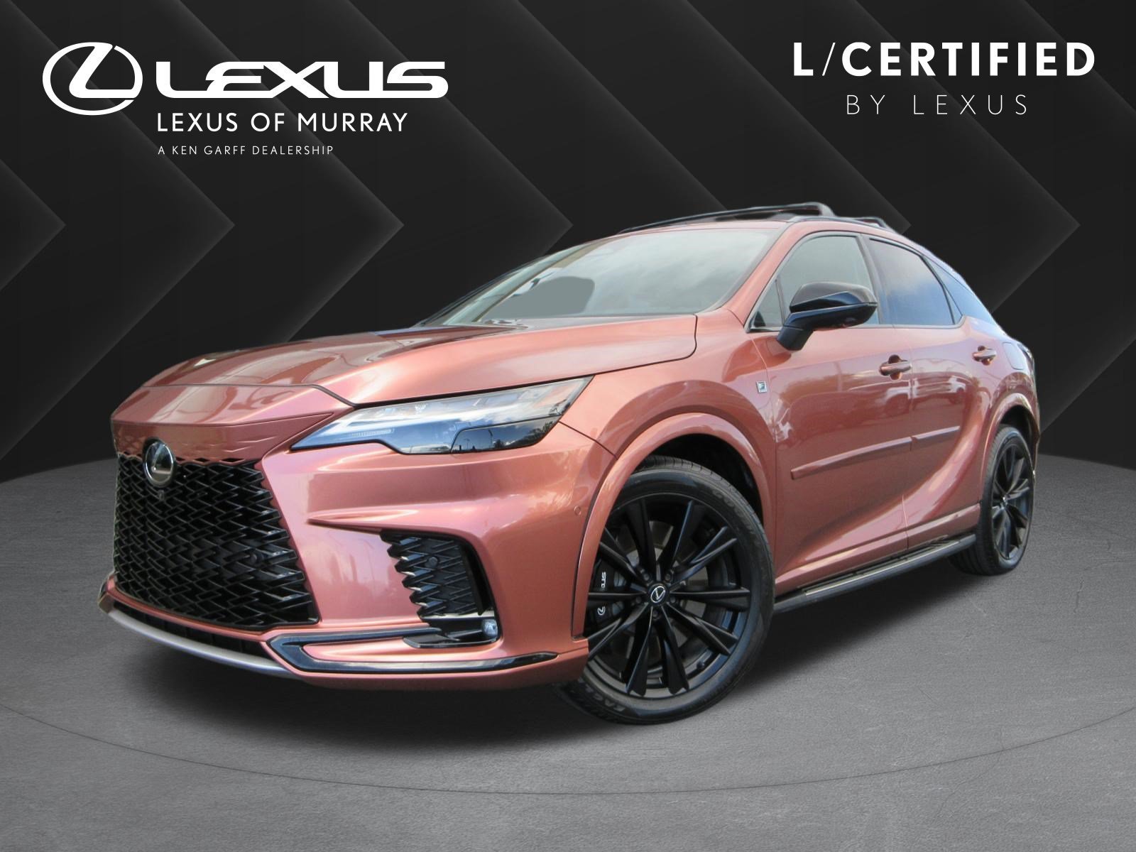 2023 Lexus RX 350h 500h F SPORT AWD's photo