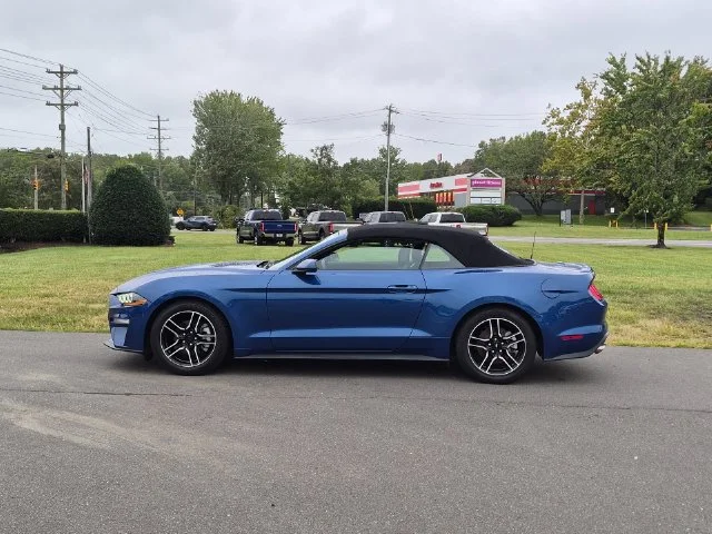 Used 2022 Blue Ford EcoBoost Premium image 10