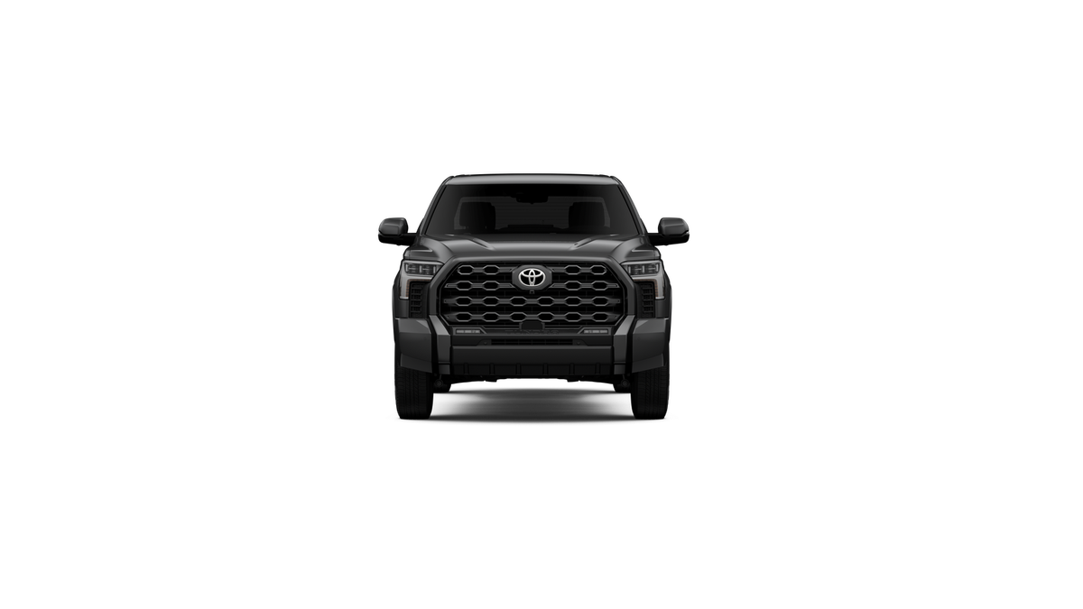 New 2026 Magnetic Gray Metallic Toyota Platinum image 17