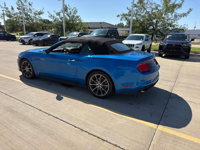 Used 2019 Blue Ford EcoBoost Premium image 5