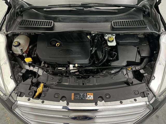 Photo 20