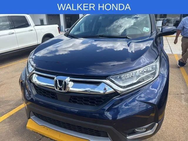 Used 2018 Blue Honda Touring image 2