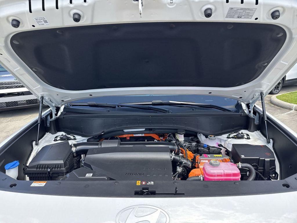 New 2027 Creamy White Pearl Hyundai Calligraphy image 18