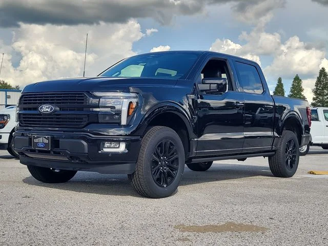 New 2026 Black Metallic Ford Platinum image 34