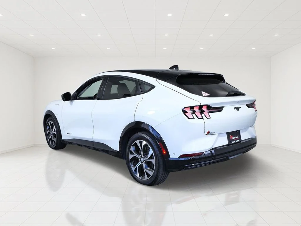 Used 2022 White Ford Premium image 4