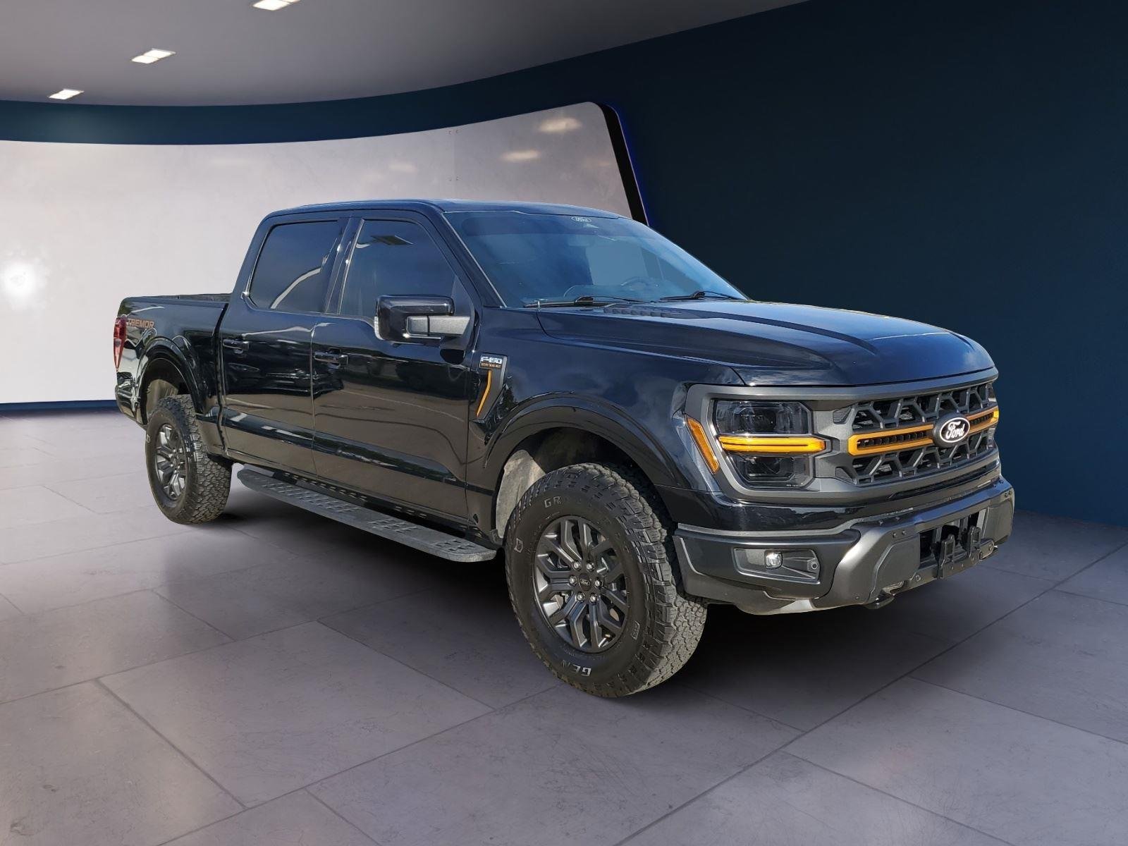 2024 Ford F-150 Tremor - Photo 7