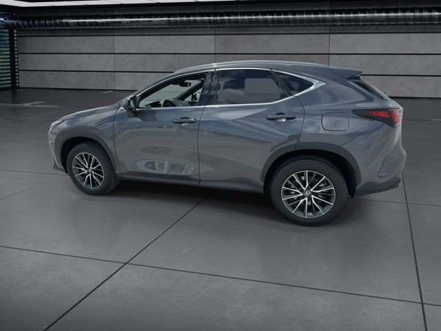 Certified Used 2025 Gray Lexus 250 Premium image 5