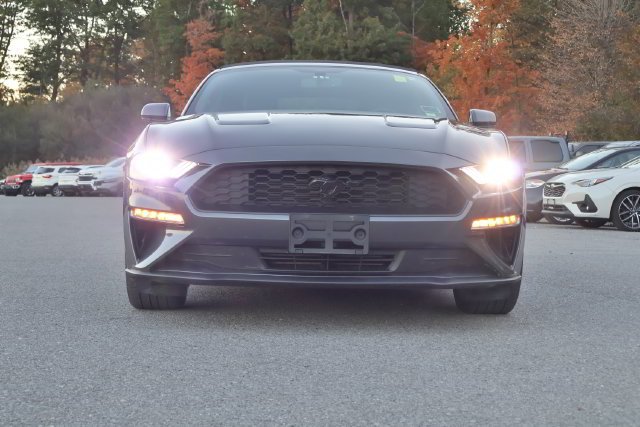 Used 2019 Gray Ford EcoBoost image 8