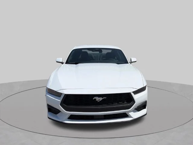 New 2026 Oxford White Ford EcoBoost® Premium Fastback image 8