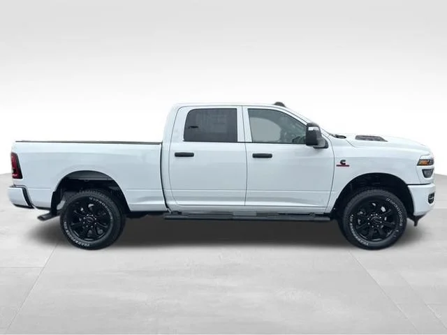 New 2026 Bright White Clear-Coat Exterior Paint RAM Black Express image 8
