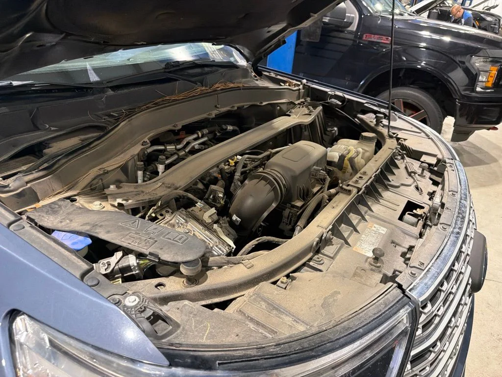 Used 2021 Blue Ford Limited image 11