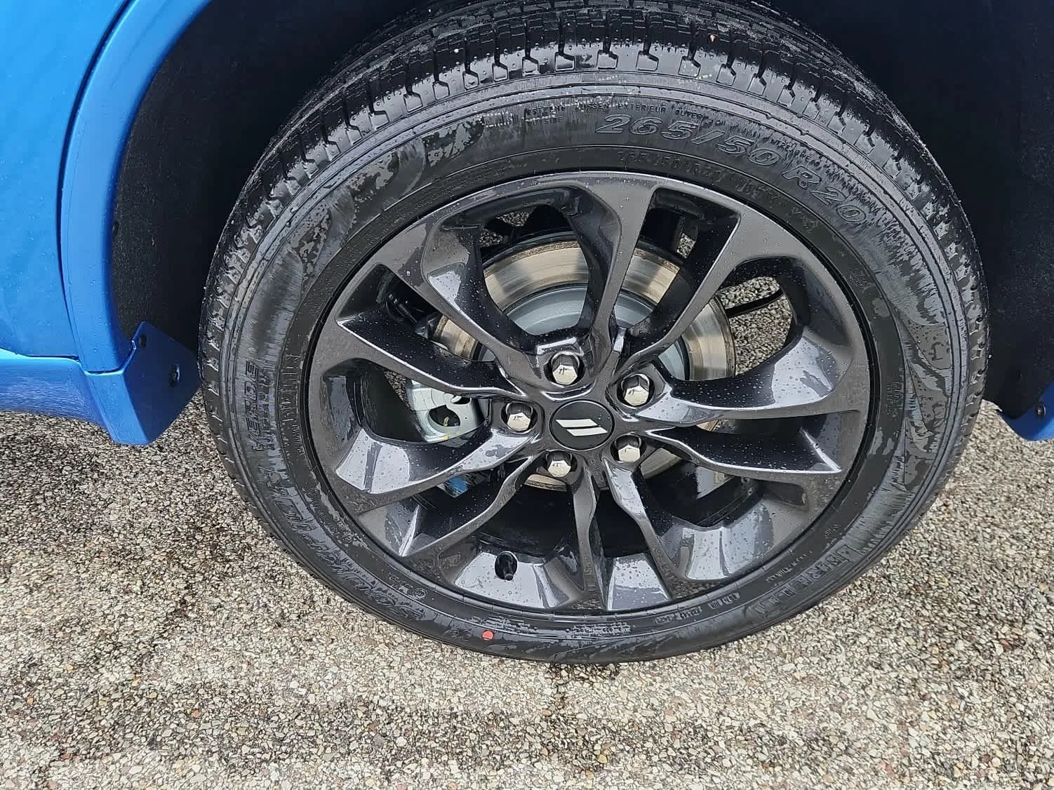 New 2026 B5 Blue Dodge GT Plus image 4