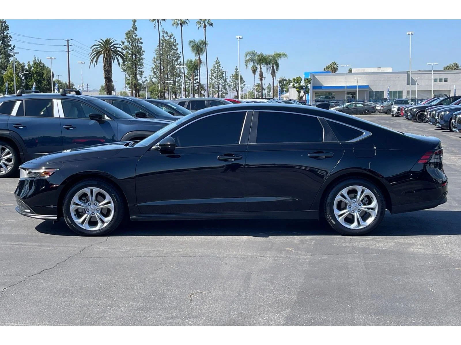 Used 2024 Crystal Black Pearl Honda LX image 2