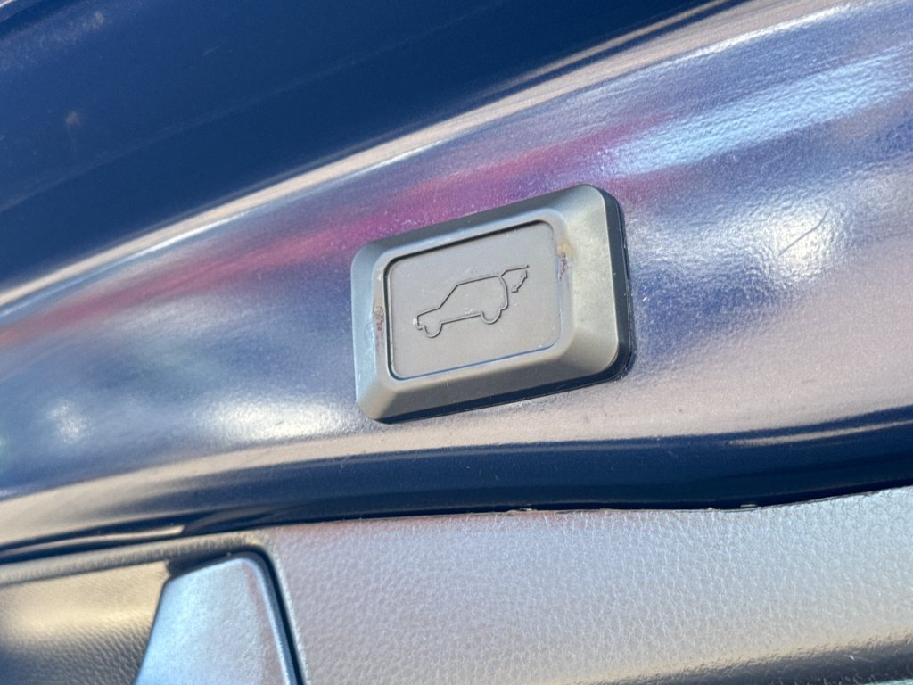 Used 2024 Blue Toyota XLE image 8