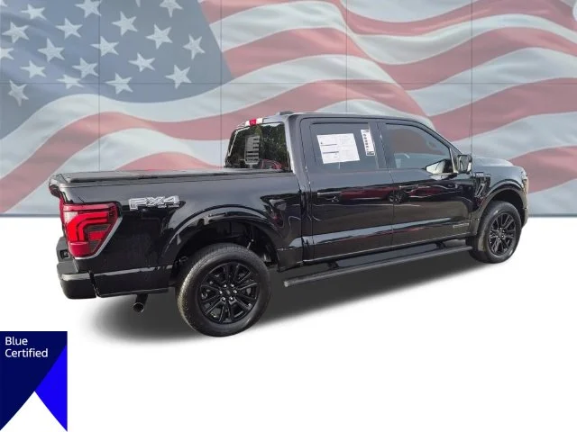 Used 2025 Black Ford Platinum image 4