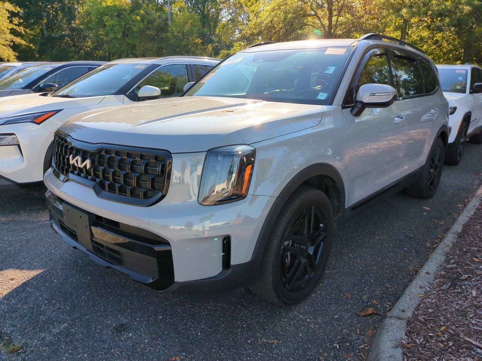 Used 2024 Wolf Gray Kia EX X-Line image 4