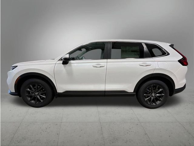 New 2026 Platinum White Pearl Honda EX-L image 2