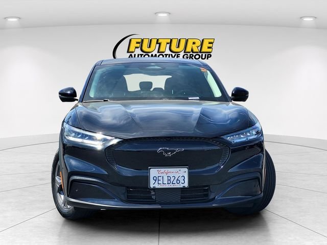 Used 2023 Black Ford Select image 2