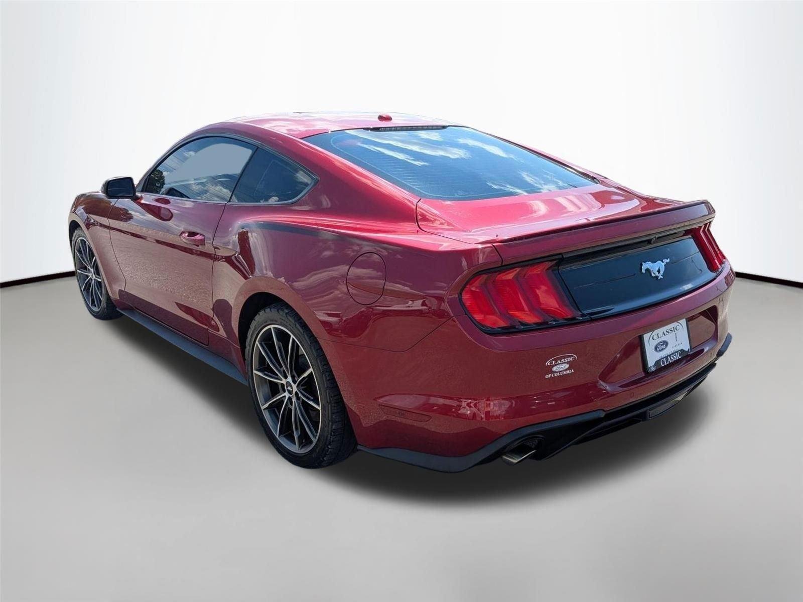 Used 2019 Ruby Red Metallic Tinted Clearcoat Ford EcoBoost Premium image 7