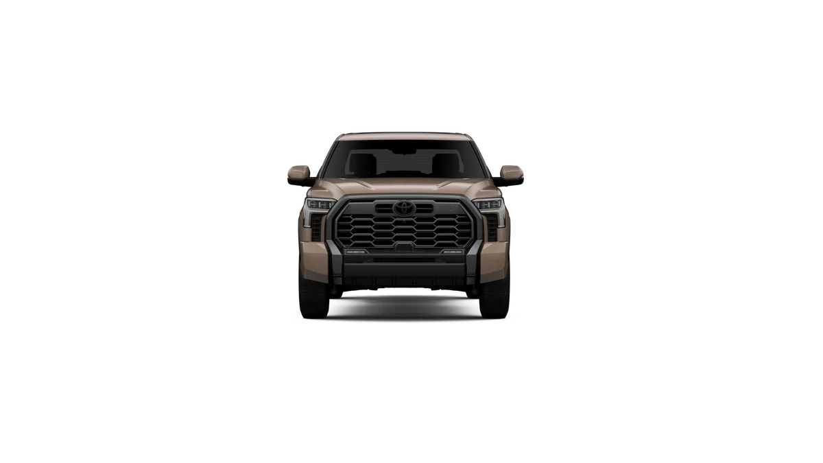 New 2026 Mudbath Toyota Platinum image 17