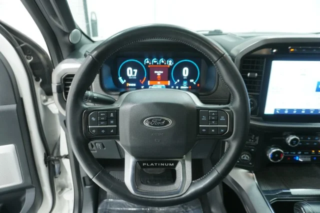 Used 2023 WHITE Ford Platinum image 29