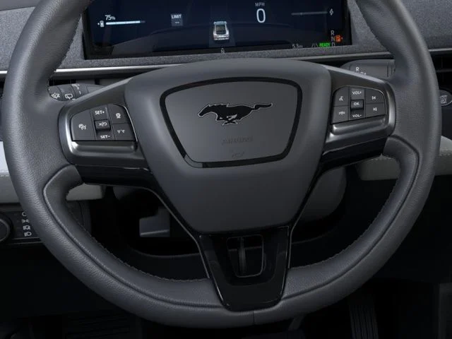 New 2026 Gray Metallic Ford Premium image 12