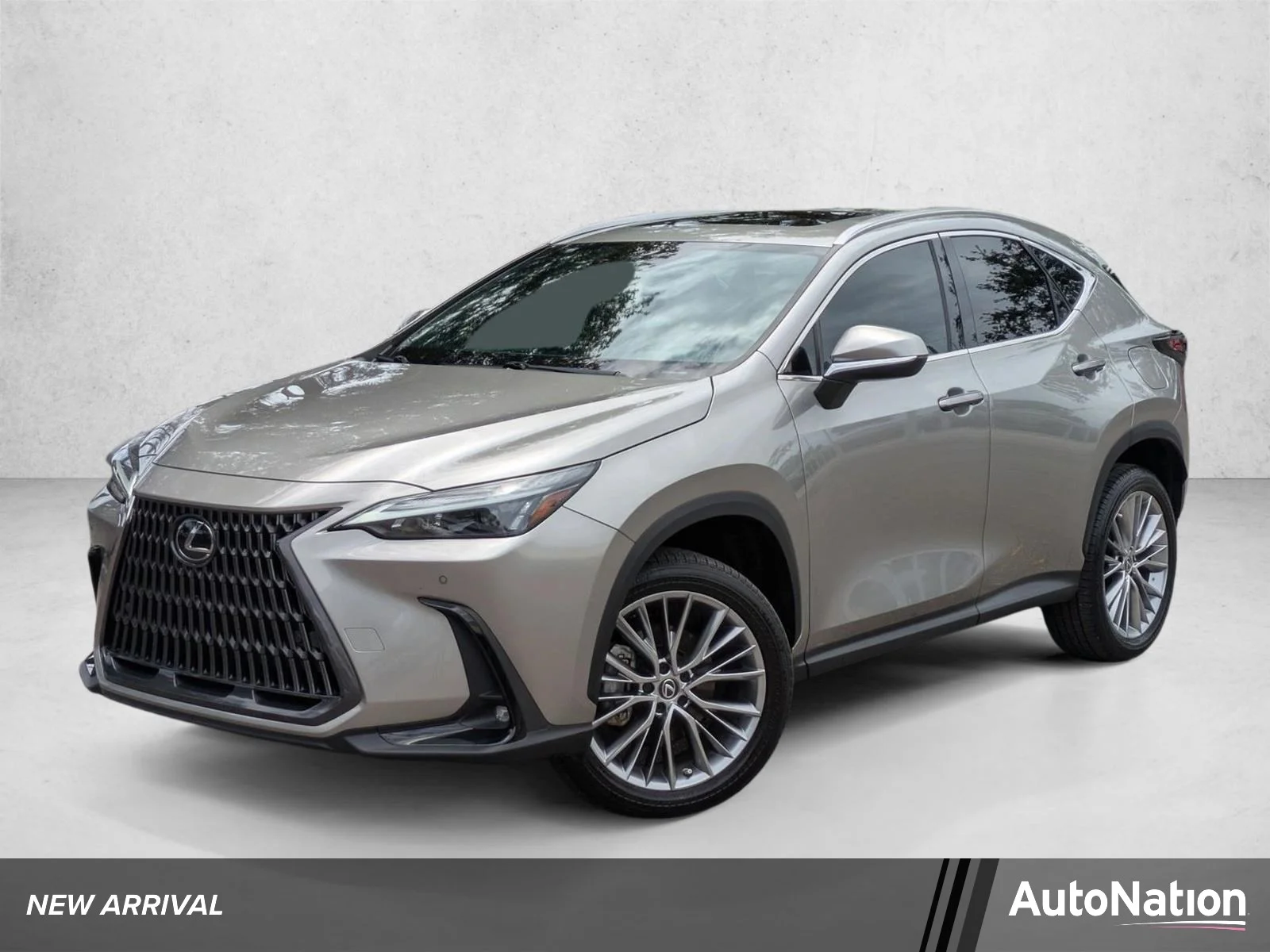 2023 Lexus NX 350h 350h Premium AWD's photo