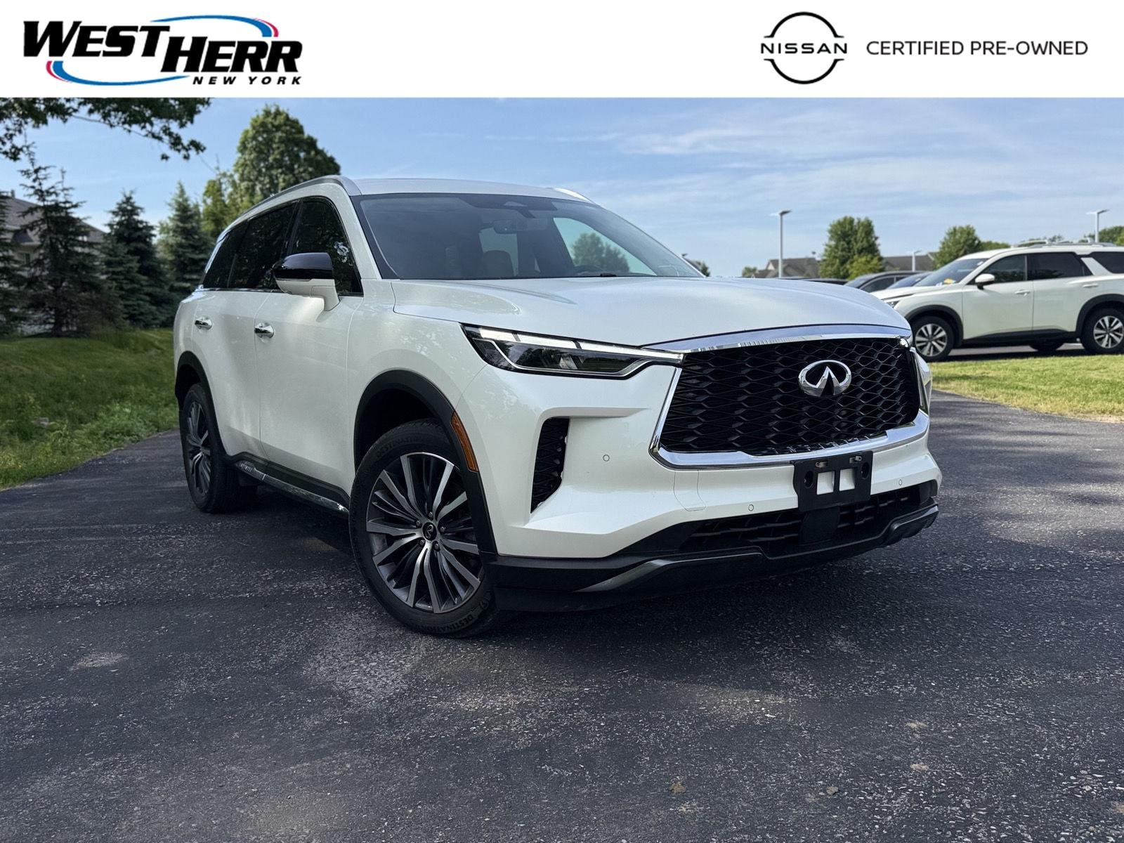 2023 INFINITI QX60 SENSORY AWD's photo