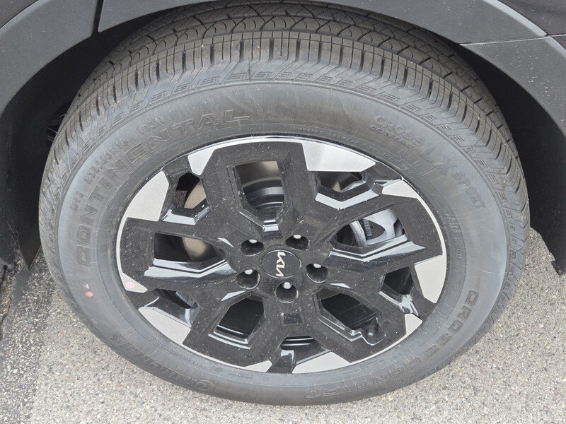New 2026 Panthera Metal Kia S image 5