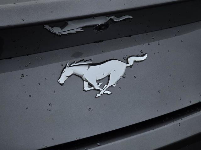 New 2026 Carbonized Gray Metallic Ford EcoBoost® Fastback image 83