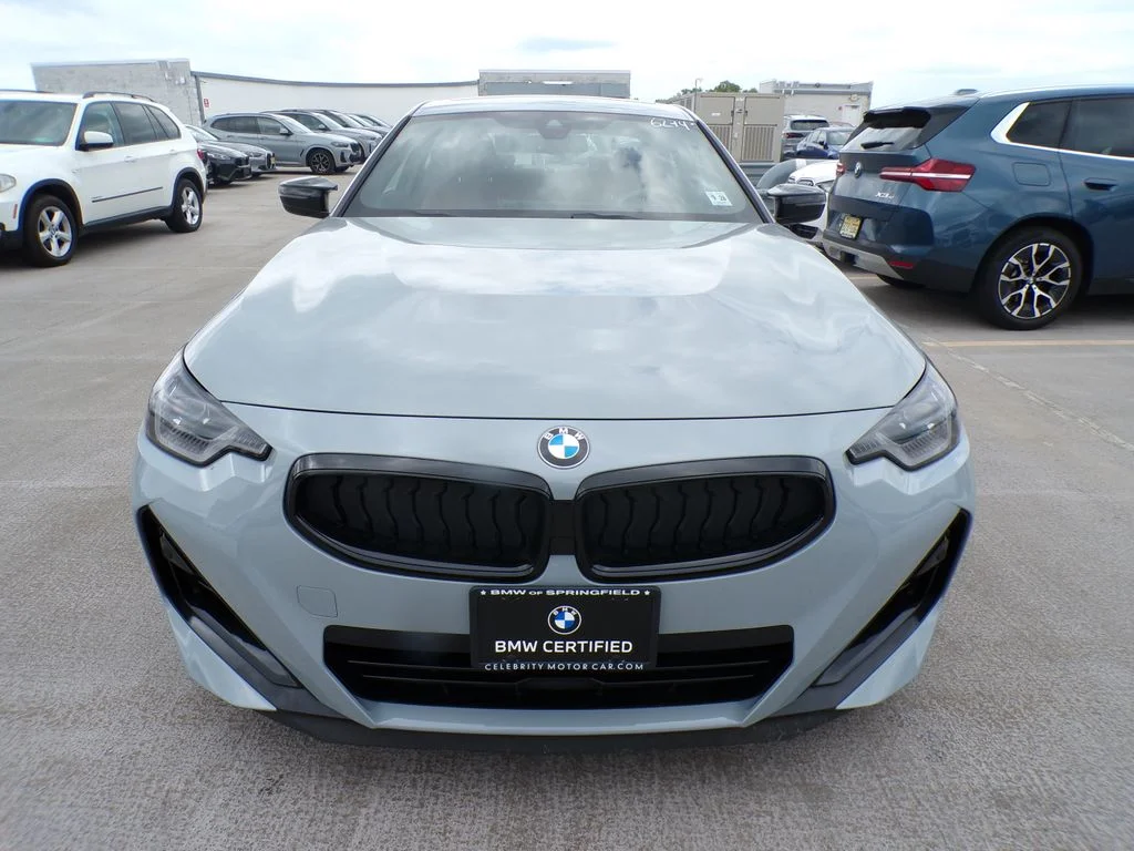 3MW53CM06P8D73646