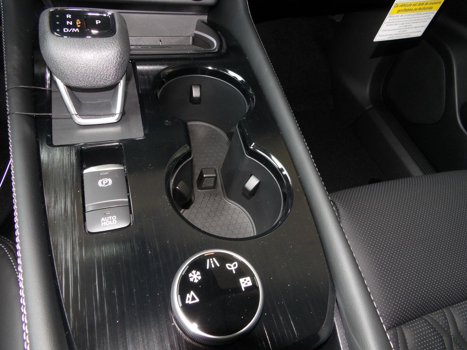 New 2026 Champagne Silver Metallic / Super Black Two-tone Nissan Platinum image 20